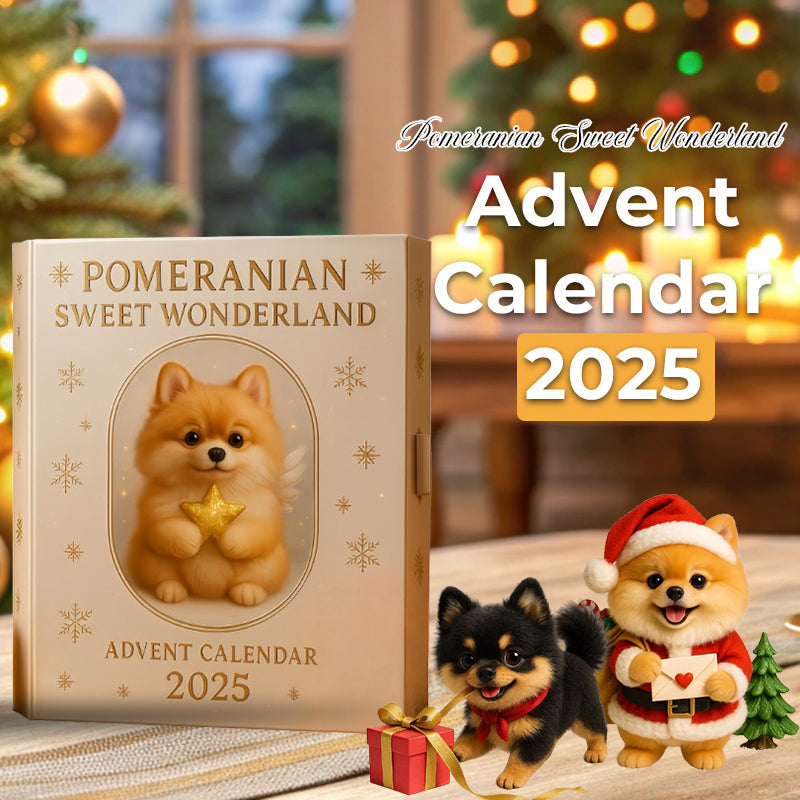 🐾✨ Pomeranian Sweet Wonderland Adventskalender 2025
