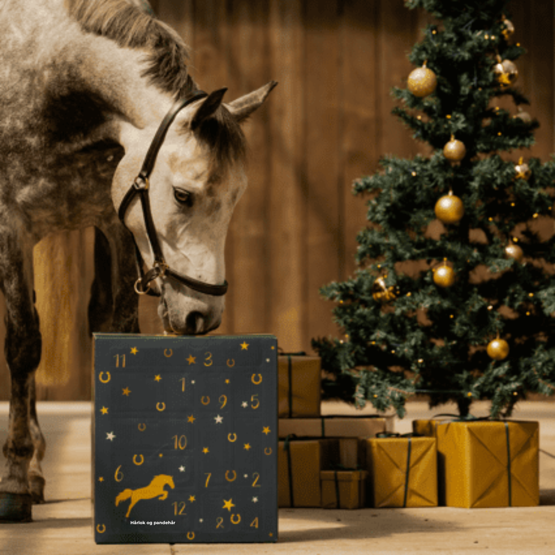 HorseDays™ – Der Weihnachtscountdown für echte Pferdefreunde