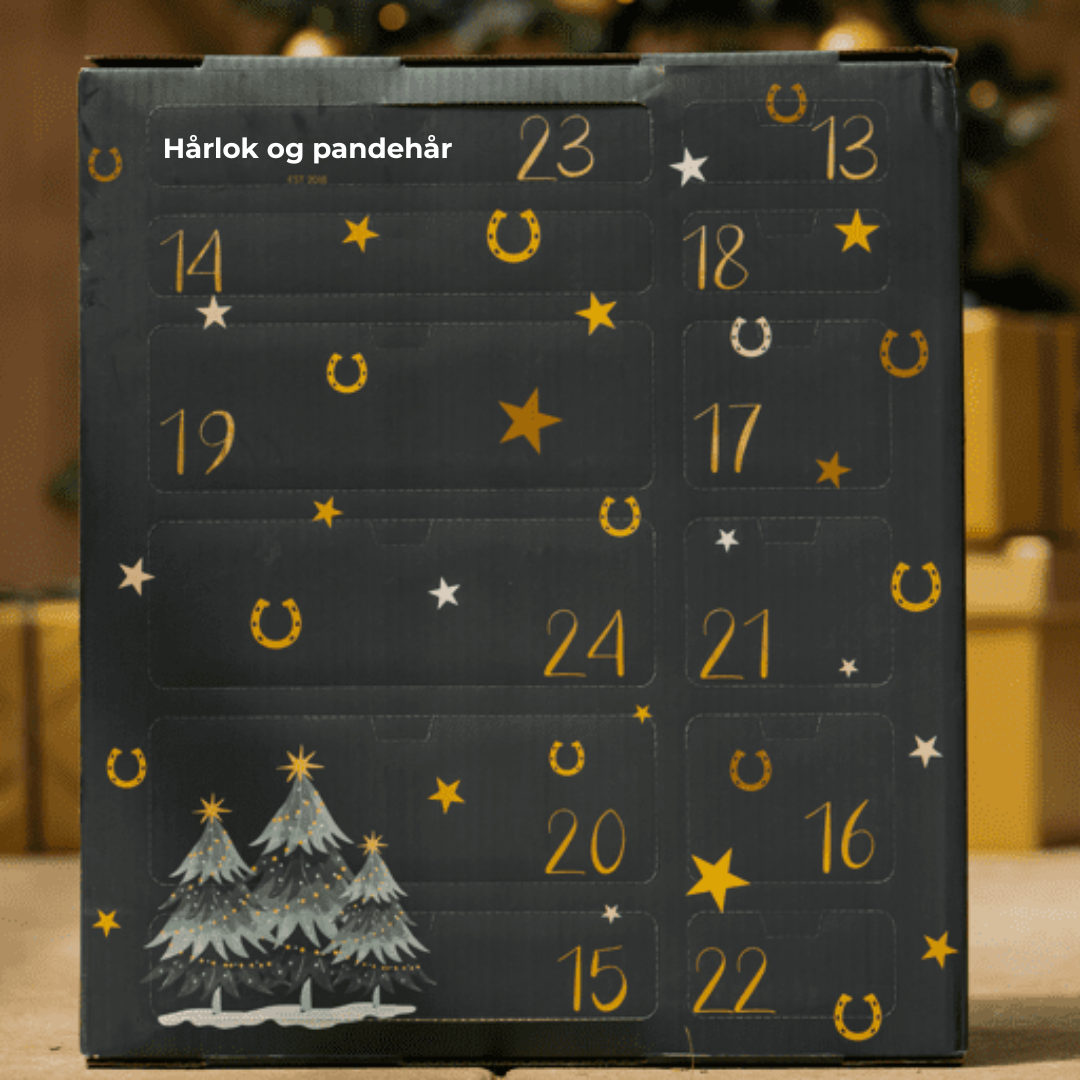 HorseDays™ – Der Weihnachtscountdown für echte Pferdefreunde