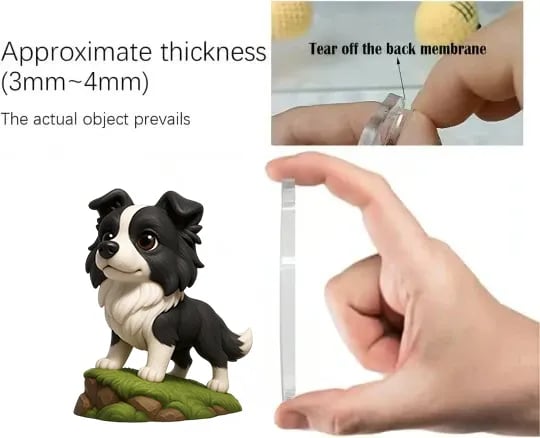 Border Collie Adventskalender 2025